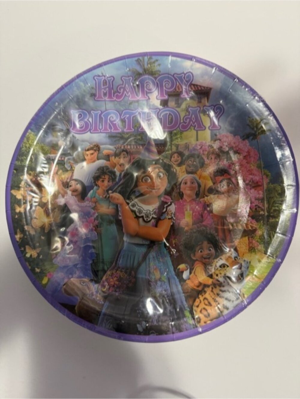 Encanto Birthday Party Supplies Set – 10 Guests – Plates Cups Decor Balloons - Picture 13 of 14